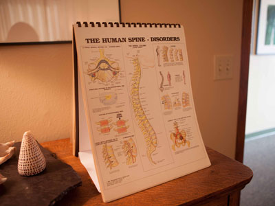 back specialist; chiropractic training