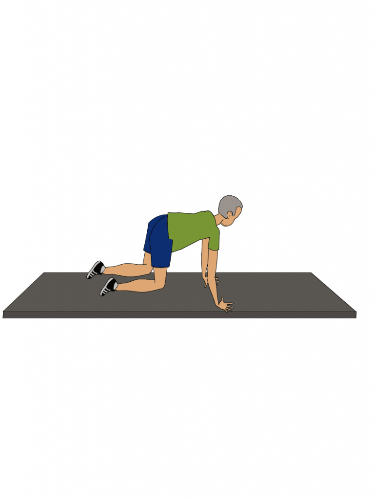 Exercise for low back pain 1