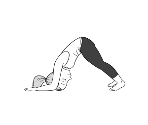 Dolphin pose for tight shoulders