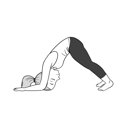 02Dolphin0 Dolphin pose for tight shoulders