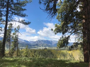 Hay Canyon local hikes near Wenatchee