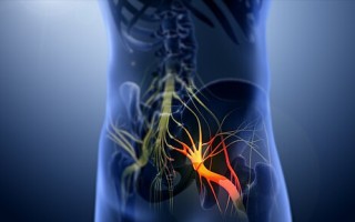 512px-3D_still_showing_Sciatica_nerve sciatica